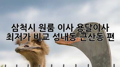 삼척시 원룸 이사, 용달이사 최저가 비교! 성내동 근산동 편